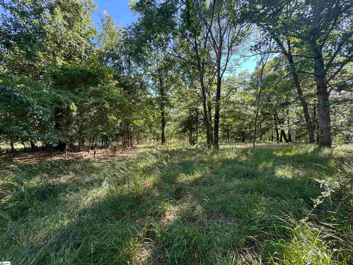 00 Farmers Hill Road, Liberty, SC 29657 - #1