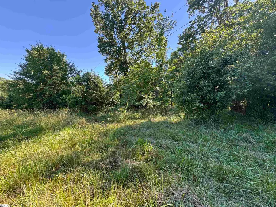 00 Farmers Hill Road, Liberty, SC 29657 - #3