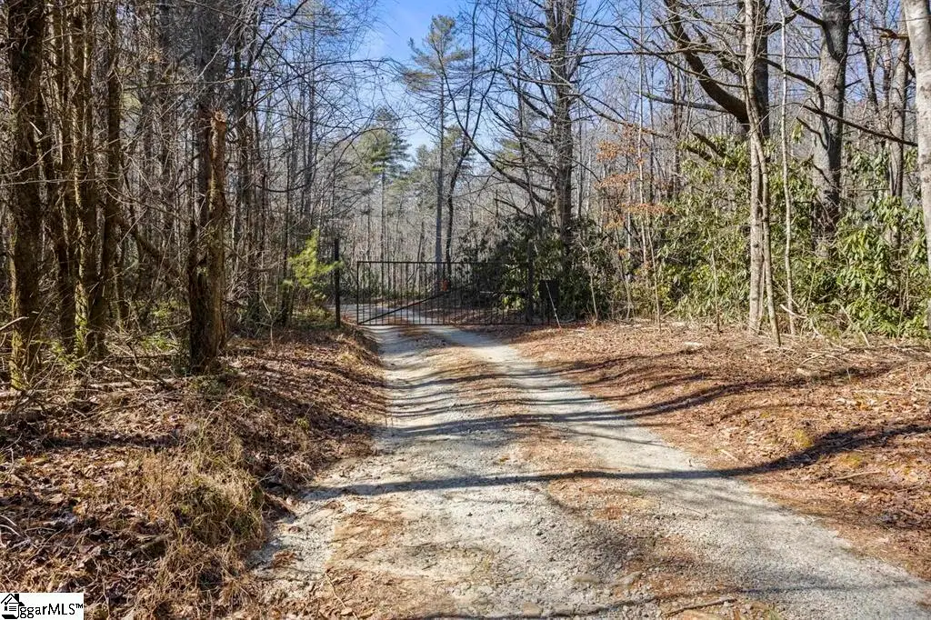 3772 Bear Paw Ridge Road, Zirconia, NC 28790 - #1