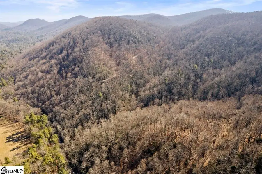 3772 Bear Paw Ridge Road, Zirconia, NC 28790 - #3