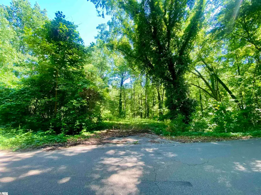 401 Old Jones Road, Greer, SC 29651 - #2