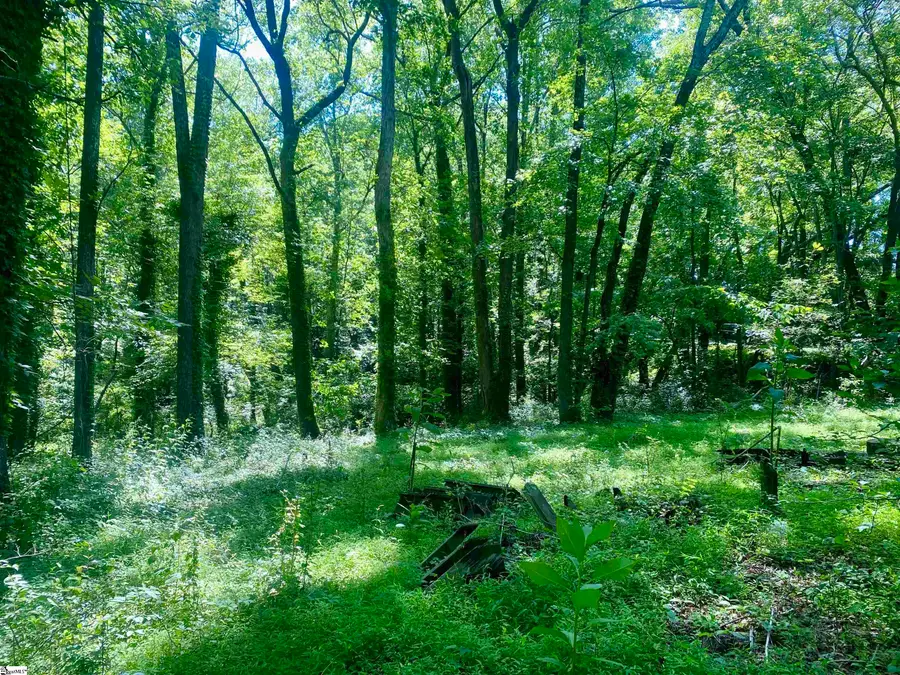 401 Old Jones Road, Greer, SC 29651 - #3