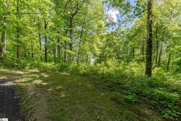 149 Lacey Fern Way, Landrum, SC 29356