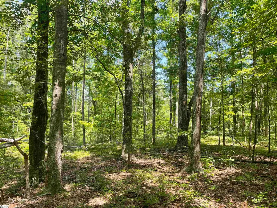 00 Clatworthy Road, Honea Path, SC 29654 - #3