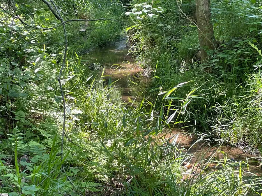 00 Clatworthy Road, Honea Path, SC 29654 - #3