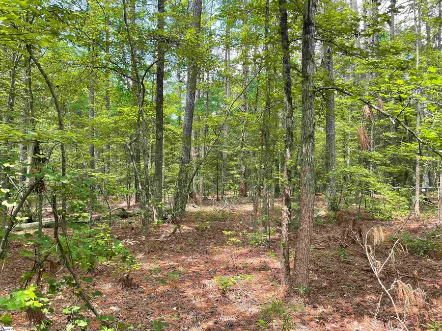 00 Clatworthy Road, Honea Path, SC 29654 - #2