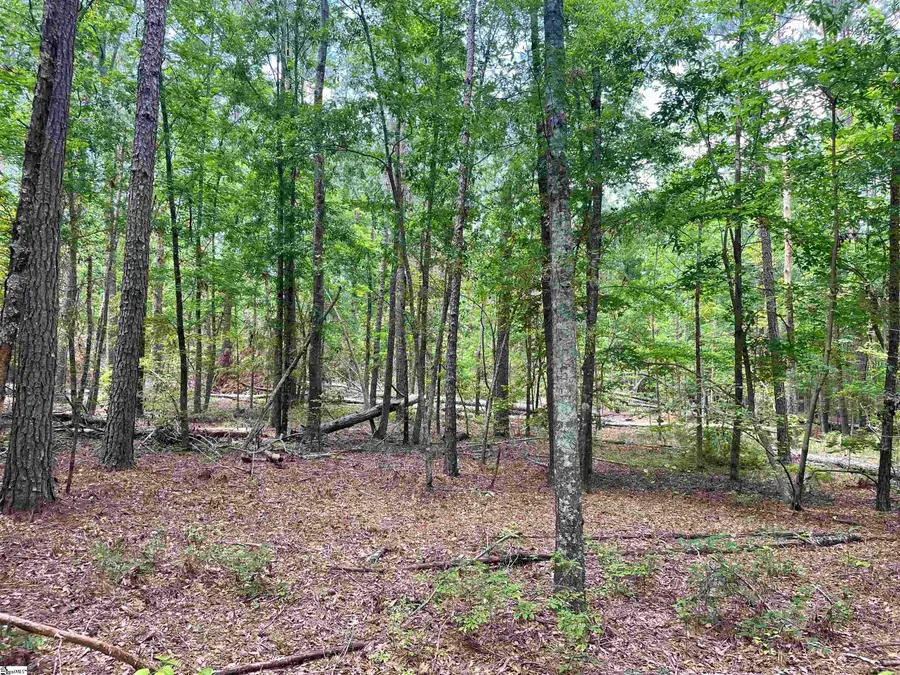 00 Clatworthy Road, Honea Path, SC 29654 - #3