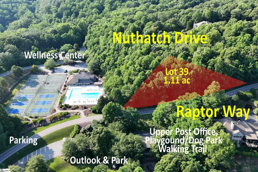 39 Raptor Way, Landrum, SC 29356 - #2