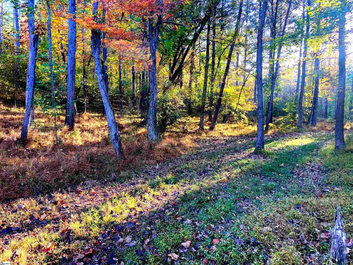 0 Craigo Road, Fountain Inn, SC 29644 - #1