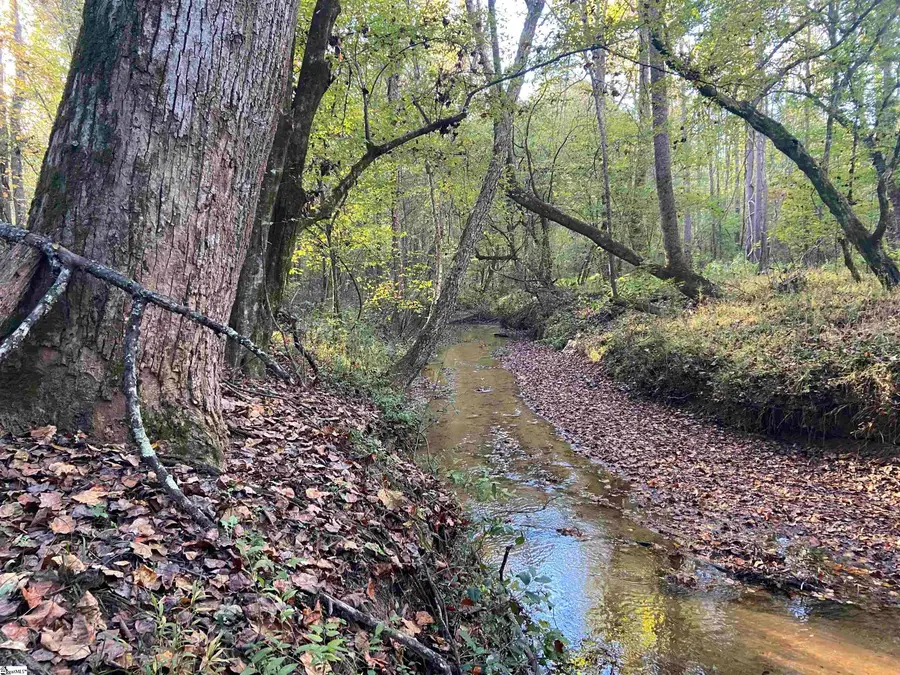 0 Craigo Road, Fountain Inn, SC 29644 - #2