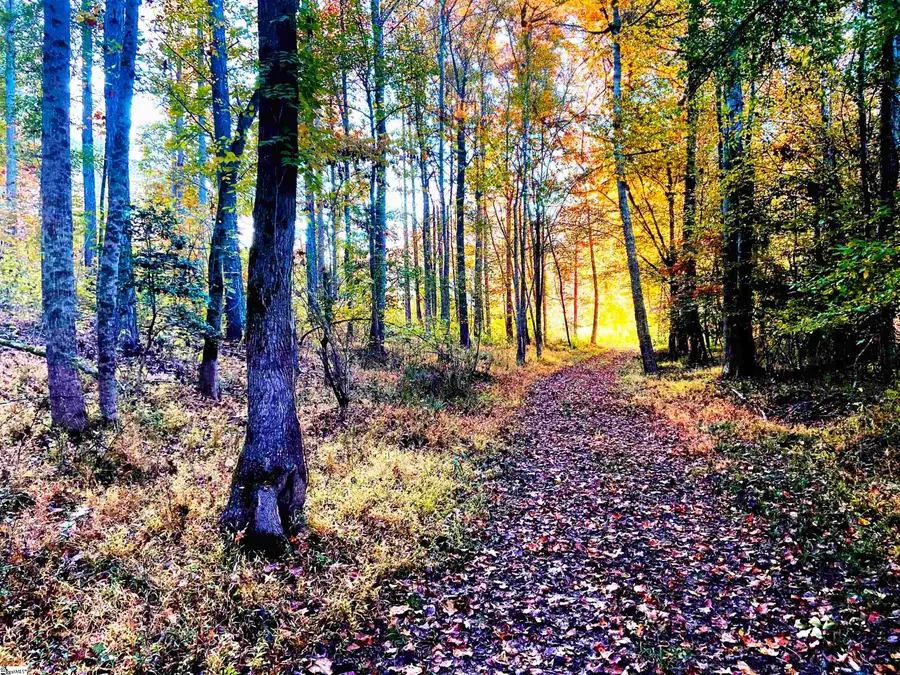 0 Craigo Road, Fountain Inn, SC 29644 - #3