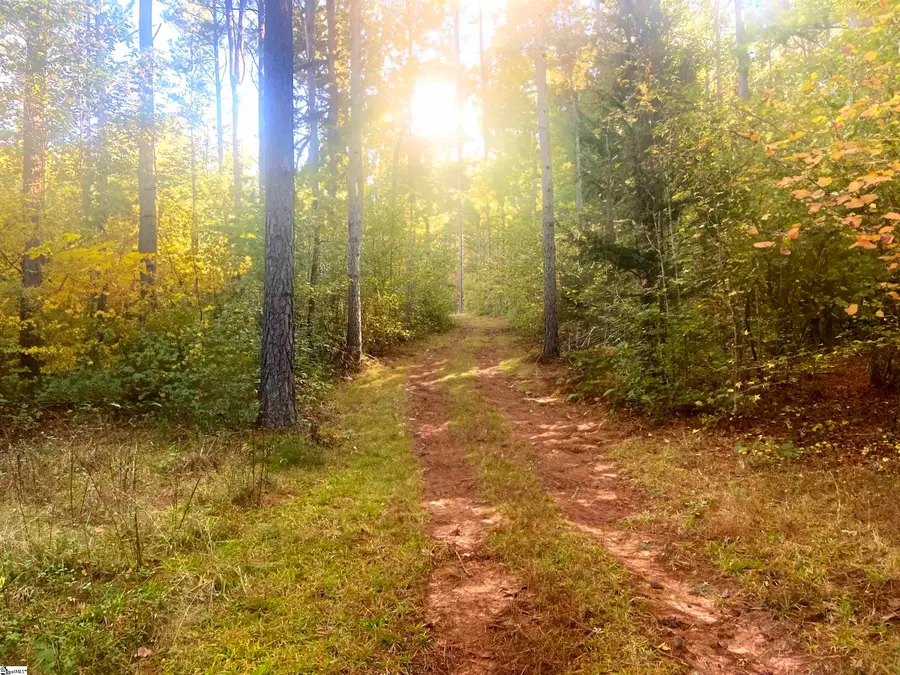 0 Craigo Road, Fountain Inn, SC 29644 - #3