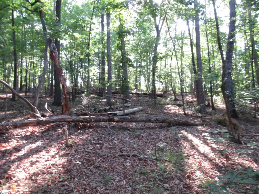 00 Murphy Road, Sunset, SC 29685 - #2