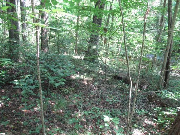 00 Gauley Falls Road #Lot 13 Gauley Falls, Pickens, SC 29671