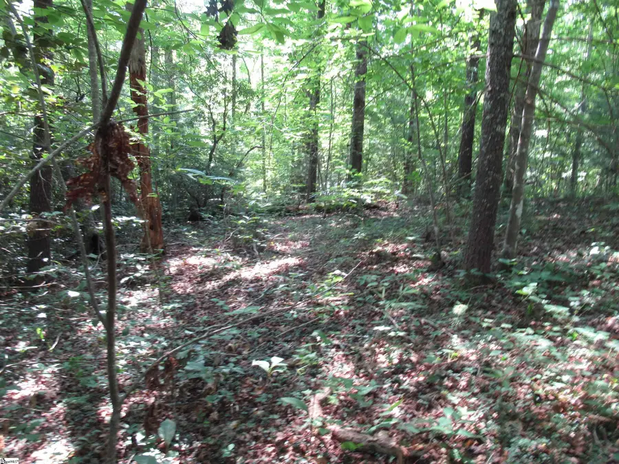 00 Gauley Falls Road #Lot 15 Gauley Falls, Pickens, SC 29671 - #2