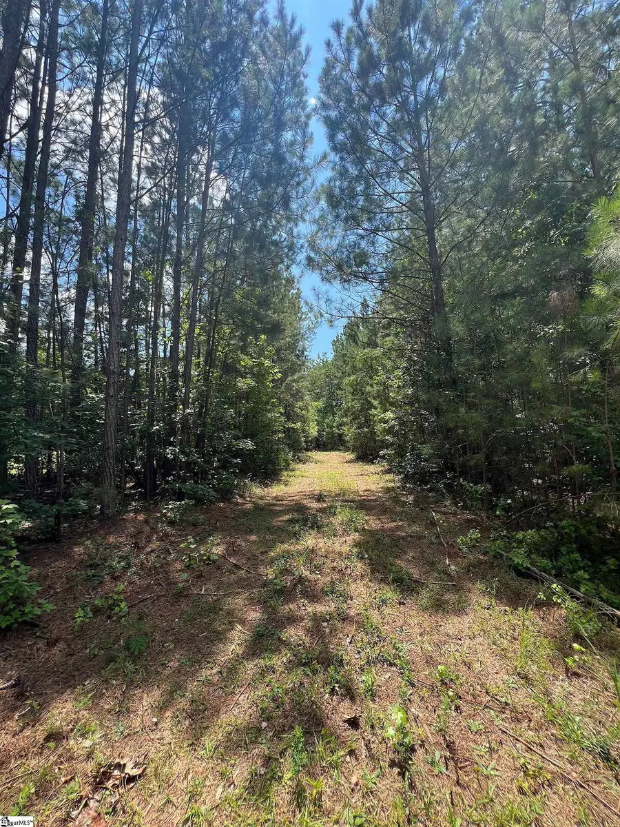 00 Woodbluff Road, Laurens, SC 29360 - #2