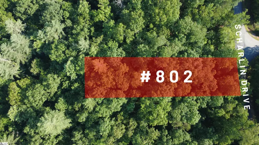 802 Scharlin Drive, Pickens, SC 29671 - #2
