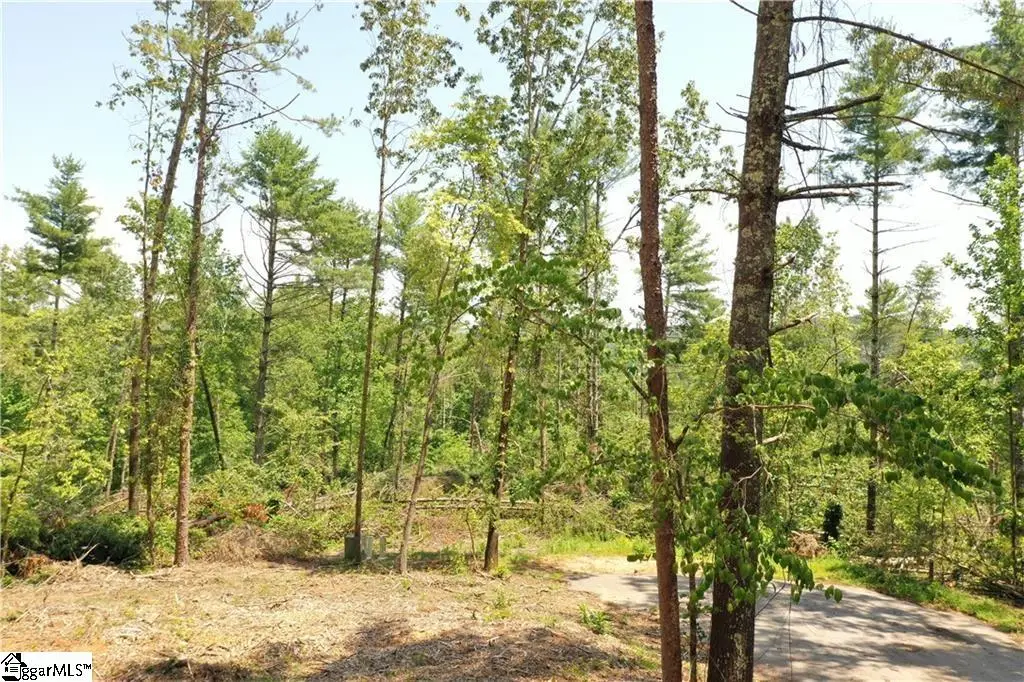 113 Sweetshrub Court, Sunset, SC 29685 - #1