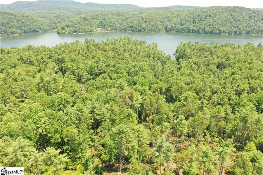 113 Sweetshrub Court, Sunset, SC 29685 - #2