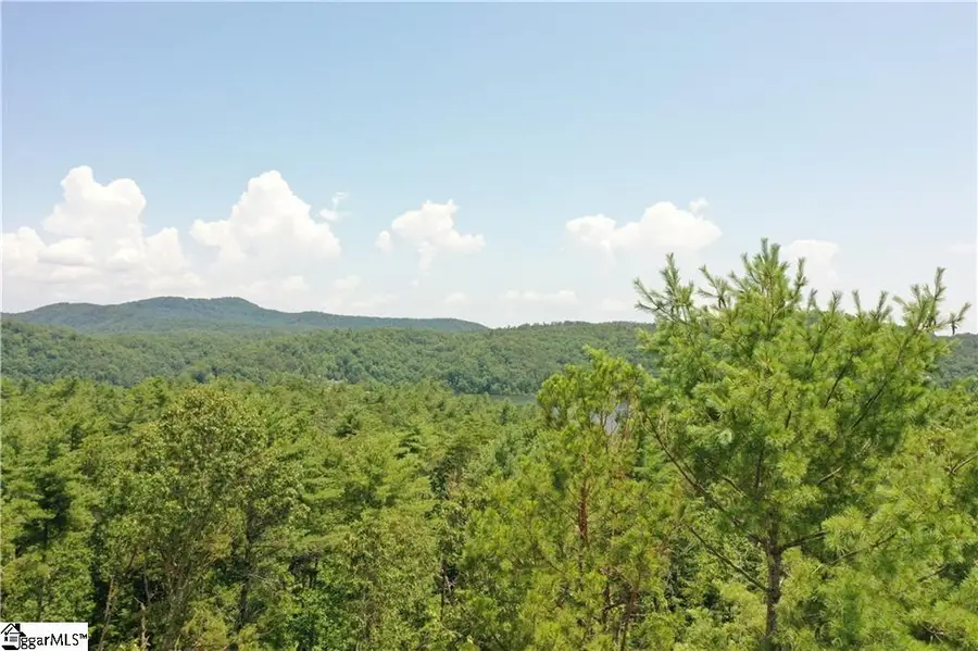 113 Sweetshrub Court, Sunset, SC 29685 - #3