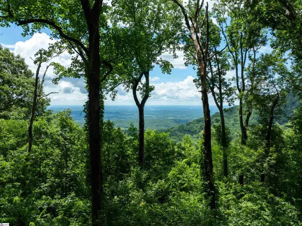 22 Raven Road, Landrum, SC 29356