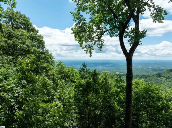 28 Raven Road, Landrum, SC 29356