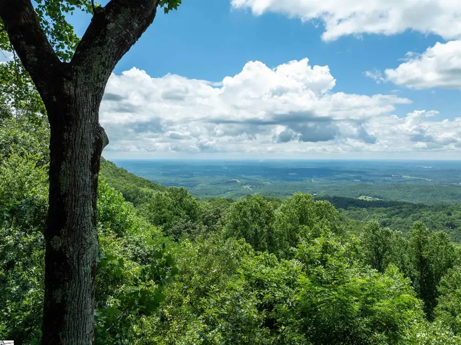 28 Raven Road, Landrum, SC 29356 - #2