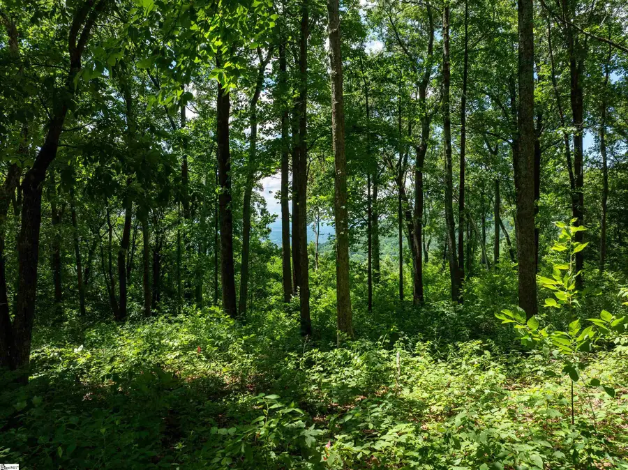 28 Raven Road, Landrum, SC 29356 - #3