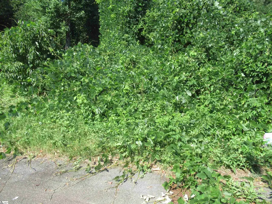 00 Old Schoolhouse Road, Norris, SC 29657 - #2