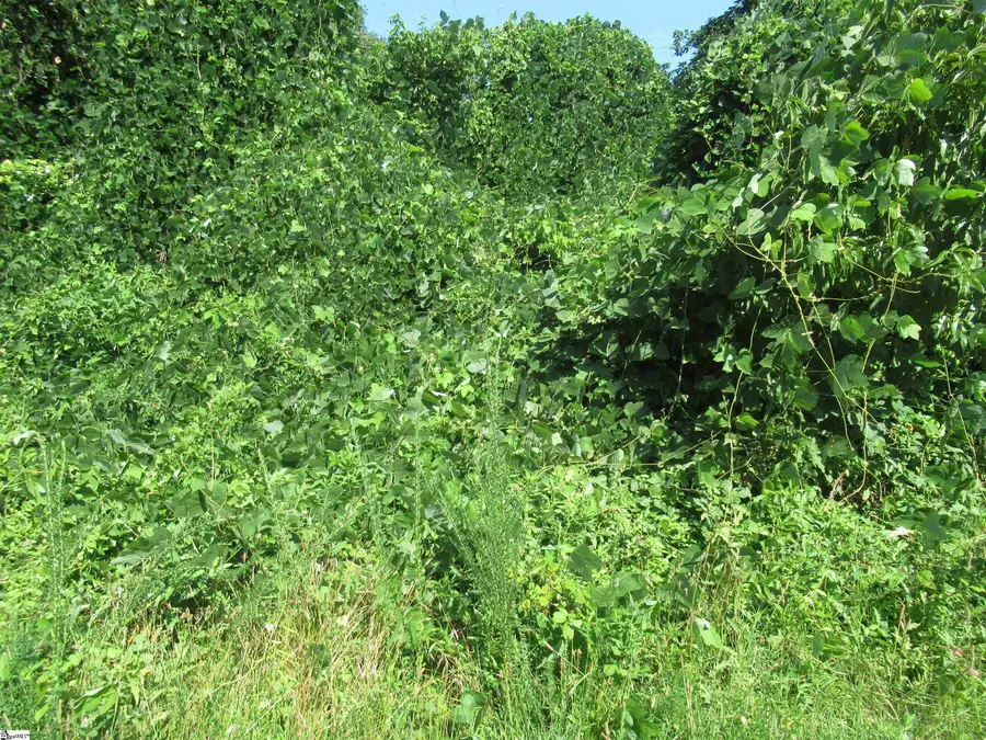 00 Old Schoolhouse Road, Norris, SC 29657 - #3