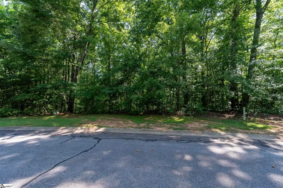 317 Laurel Valley Way, Travelers Rest, SC 29690 - #1