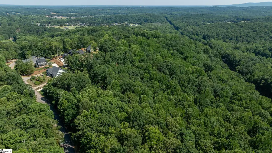 317 Laurel Valley Way, Travelers Rest, SC 29690 - #2