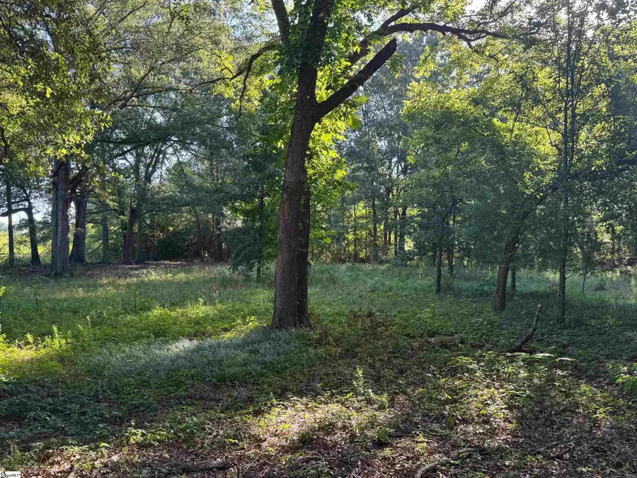 1611 W Georgia Road, Simpsonville, SC 29680 - #3