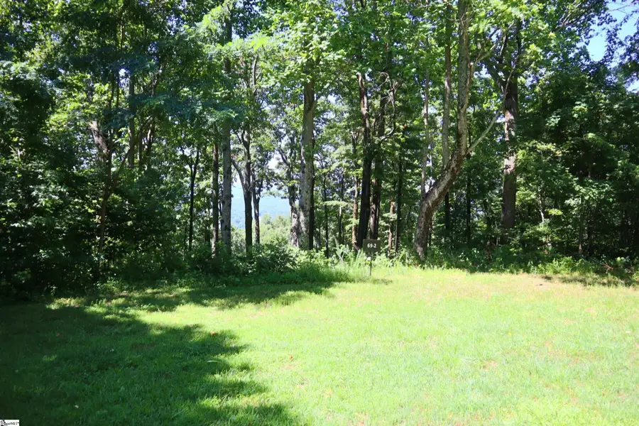 233 Southview Ledge Road, Landrum, SC 29356 - #2