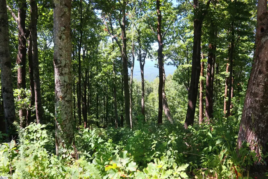 233 Southview Ledge Road, Landrum, SC 29356 - #3