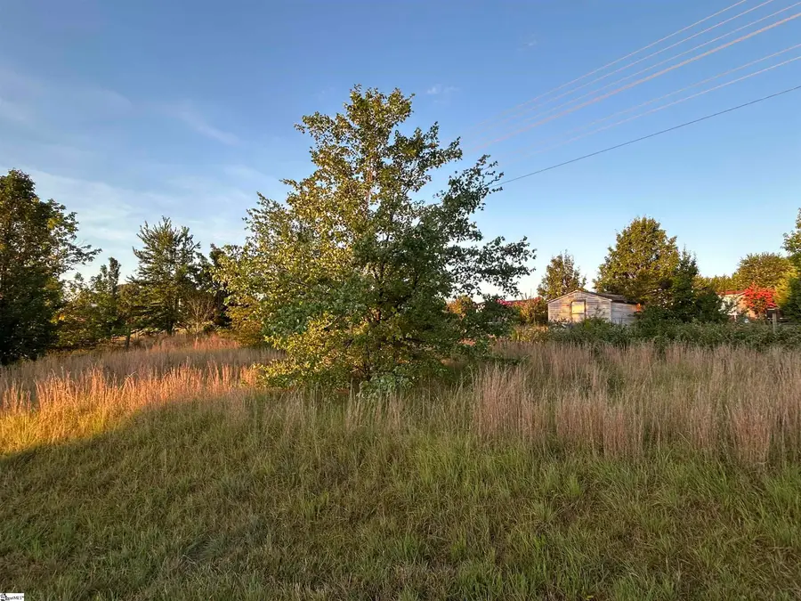 7631 Highway 11, Campobello, SC 29322 - #3