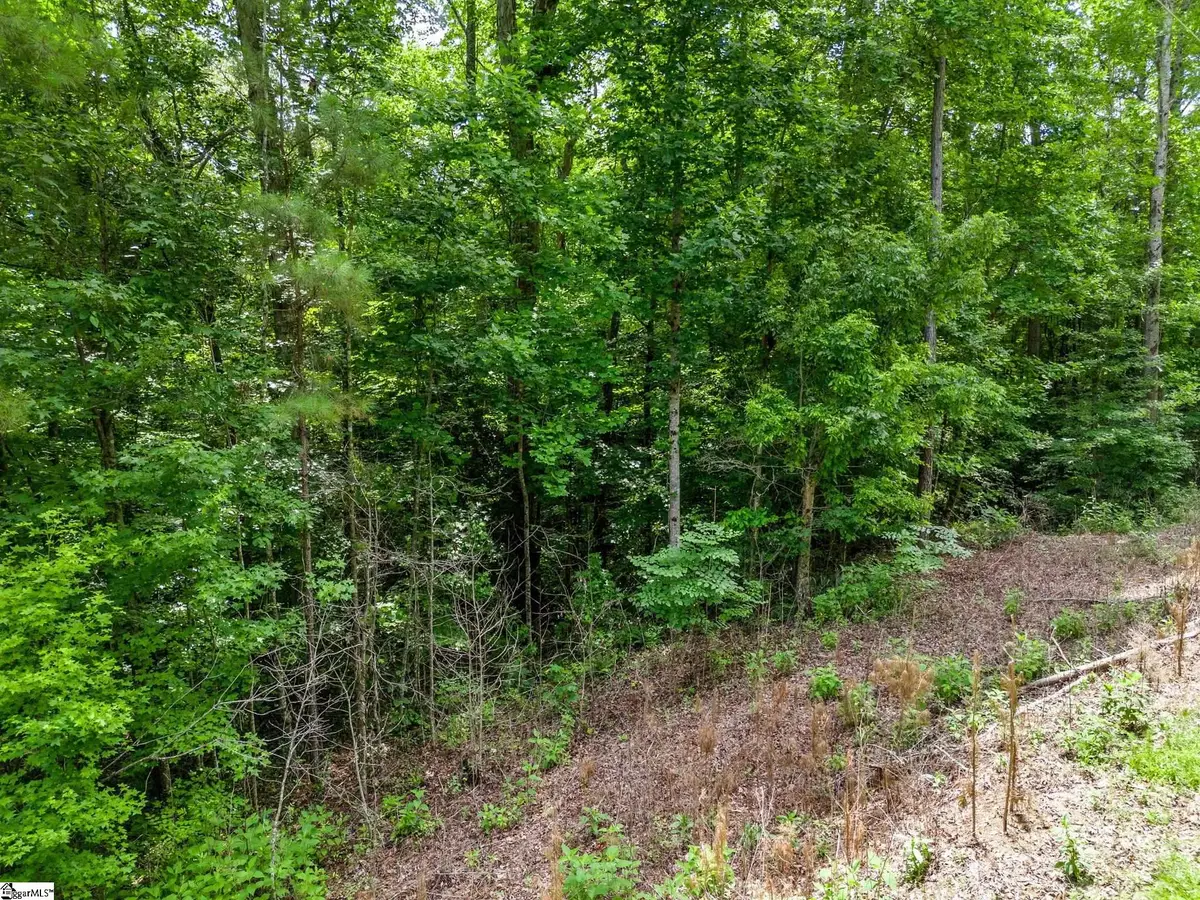 0 Bowater Pass, Fountain Inn, SC 29644 - #1