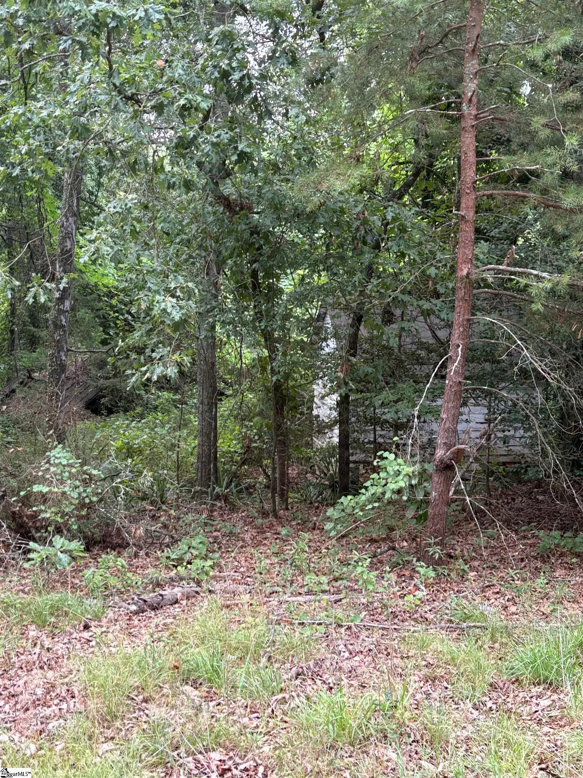 170 Railroad Street, Liberty, SC 29657 - #1