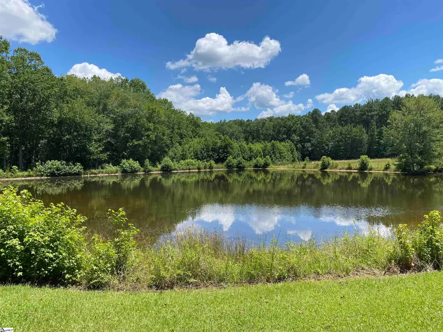 00 Snow Road, Pelzer, SC 29669 - #2