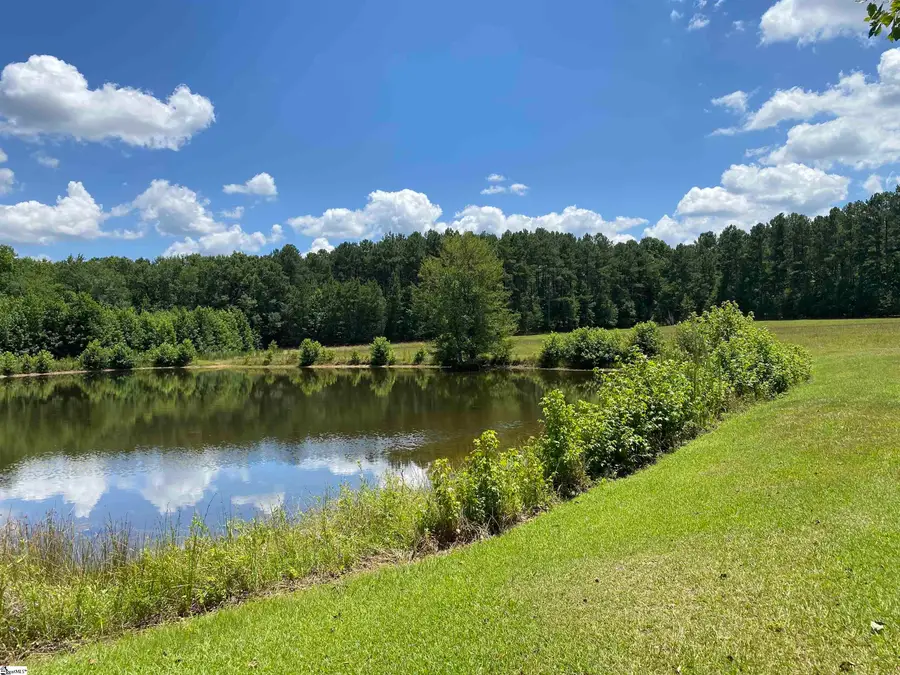 00 Snow Road, Pelzer, SC 29669 - #3