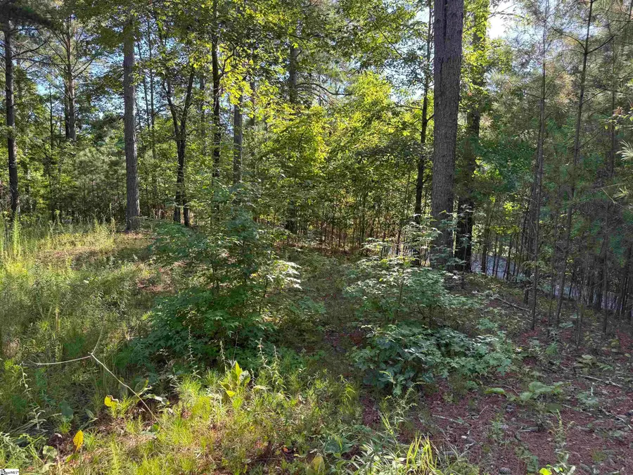 527 Brookgreen Trail, Salem, SC 29676 - #2