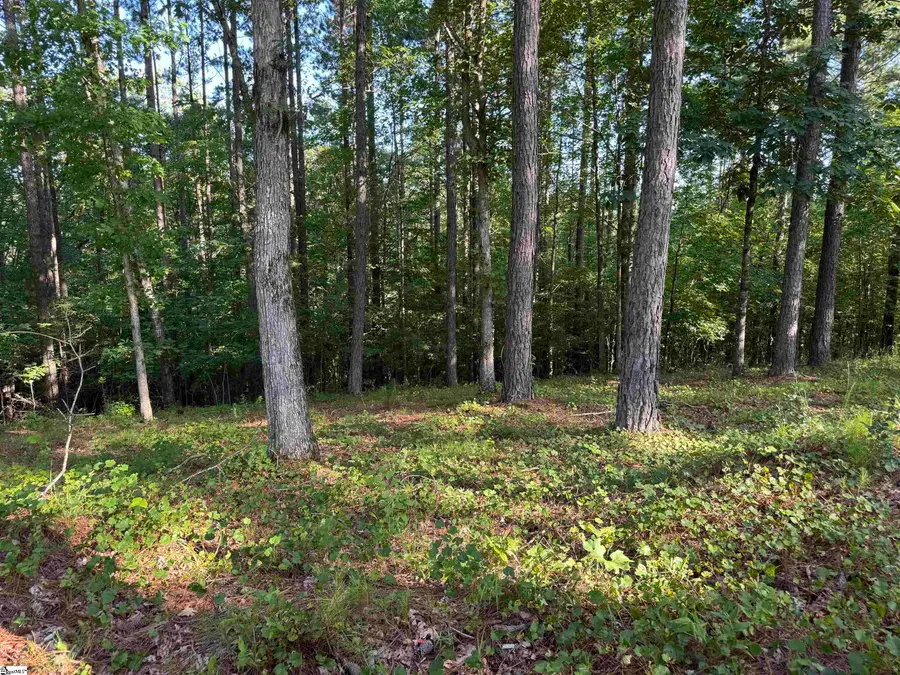 527 Brookgreen Trail, Salem, SC 29676 - #3