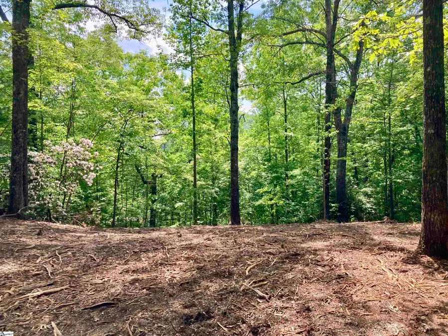 5 Water View Court, Travelers Rest, SC 29690 - #2