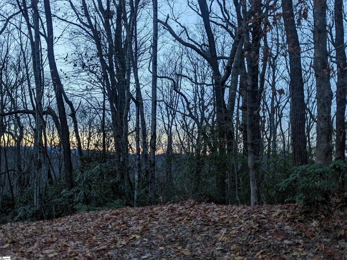 609 Cliff Ridge Drive, Cleveland, SC 29635 - #1