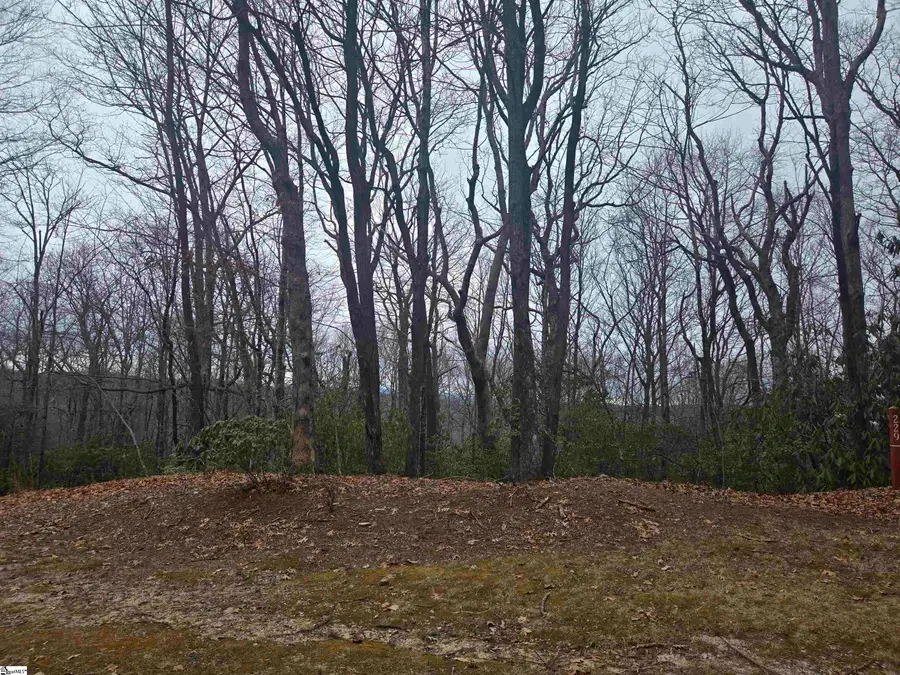 609 Cliff Ridge Drive, Cleveland, SC 29635 - #2