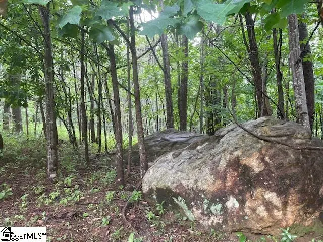 00 Cherry Hill Street, Mill Spring, NC 28756 - #2