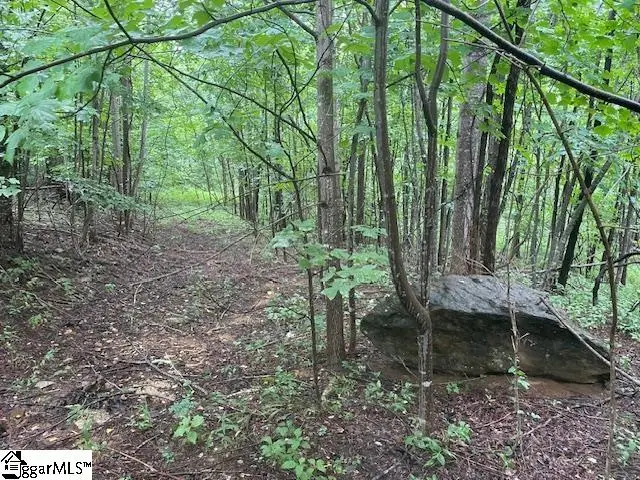 00 Cherry Hill Street, Mill Spring, NC 28756 - #3