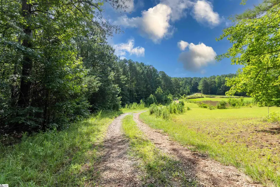 00 Hobby House Way, Woodruff, SC 29388 - #2