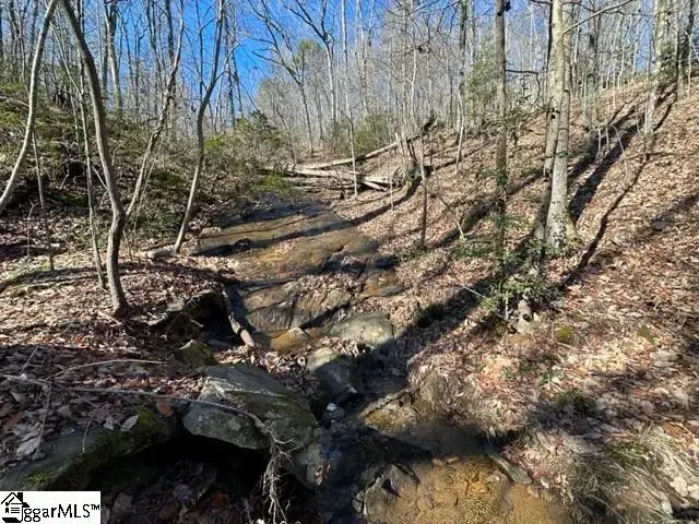 0 Chestnut Ridge Road, Greenville, SC 29609 - #3