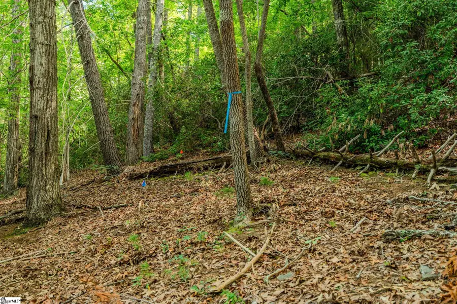 108 Blazing Star Court, Sunset, SC 29685 - #3